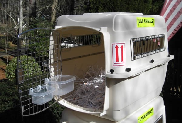 Special crate for transporting dogs long distance or by air